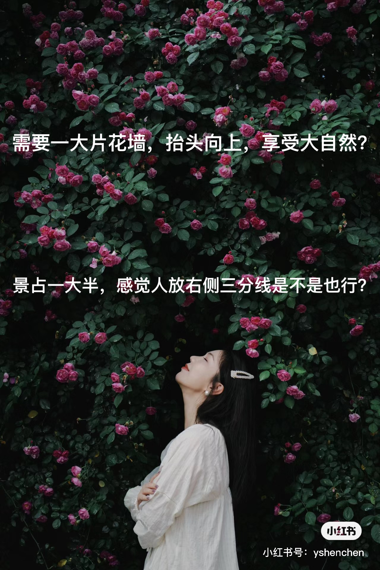 image-20240419075111894